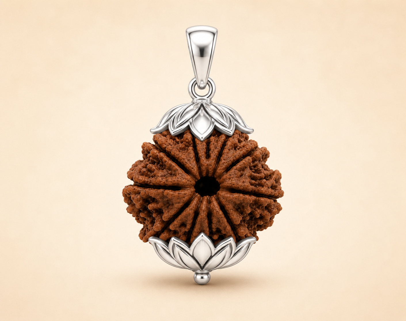 11 Mukhi Rudraksha ( Nepal Origin )
